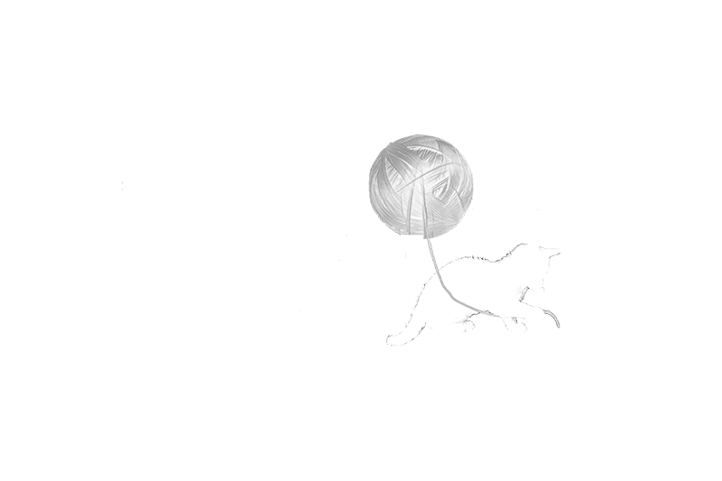 curious cat logo